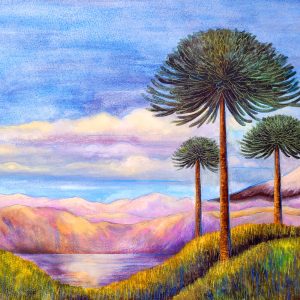 "Araucarias". Acuarela. Reproducción tamaño a3. $15.000
